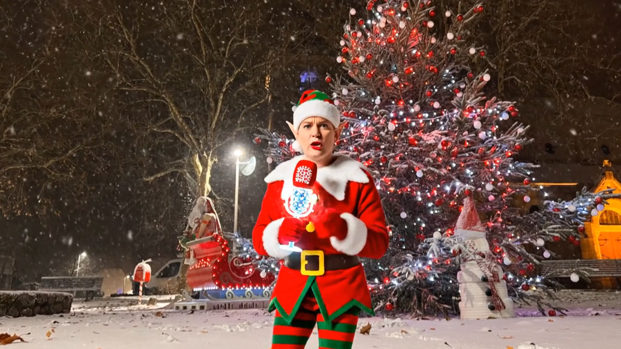 Lire la suite à propos de l’article 📢 FLASH INFO DES LUTINS – ÉDITION SPÉCIALE #1